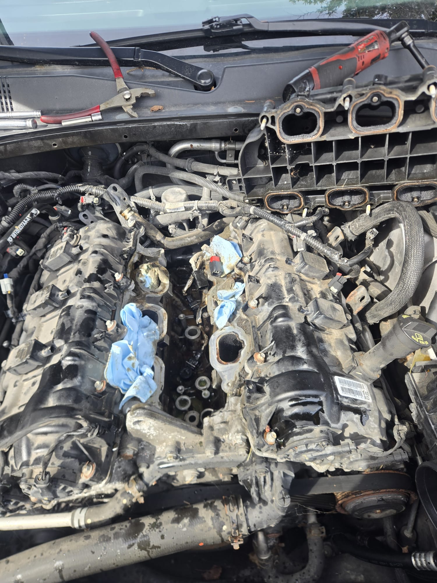 Full Tune-Up